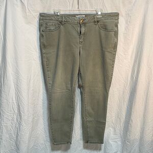 Lane Bryant Olive Green Skinny Jeans